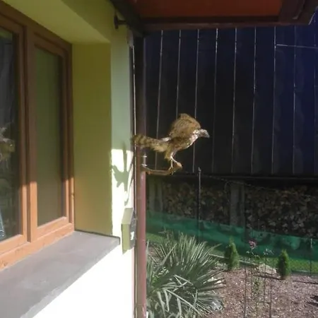 Sowa * אוסטראון