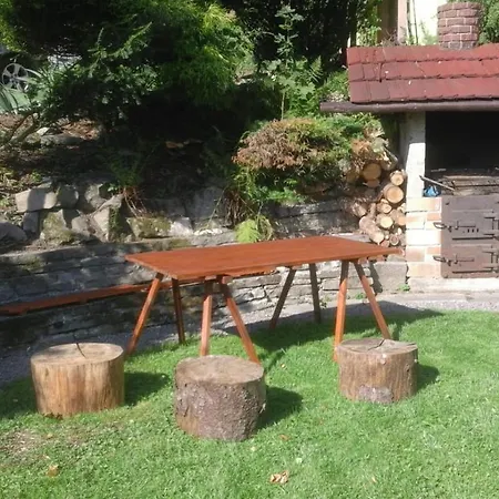 Sowa Ustroń