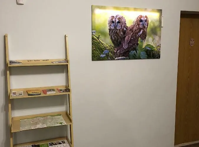 דירה Sowa אוסטראון